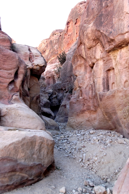 Canyon, Petra (Wadi Musa) Jordan 3.jpg